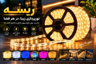 انواع ریسه